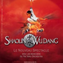 les moines shaolin et wudang lautre visage de la chine